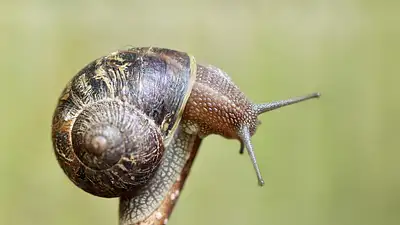 Jak oszukać czujnik lakieru – skuteczne metody i porady