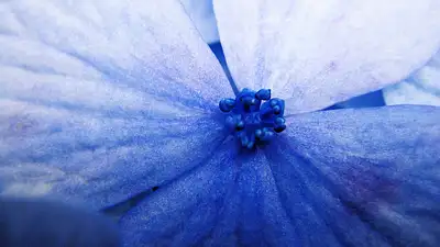 Jak profesjonalnie zapakować flower box do wysyłki