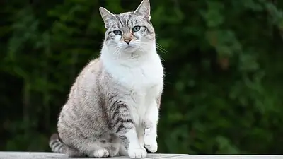 Najlepsza sztukateria – rodzaje, zalety i montaż