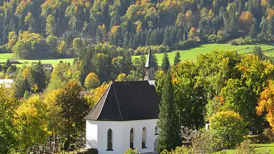 Jaki kolor wiązanki na cmentarz wybrać? Symbolika i porady