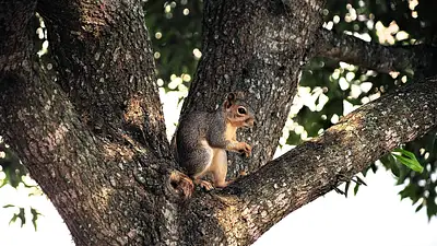 Ile lumenów potrzebuje podwórko? Praktyczny przewodnik