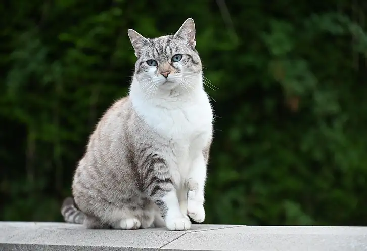 VESA w TV: Co to jest i jak wybrać?