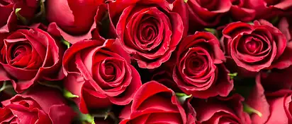 Ile kosztuje bukiet z 30 róż? Ceny i porady