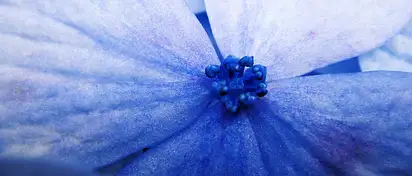 Jak zapakować flower box do wysyłki?