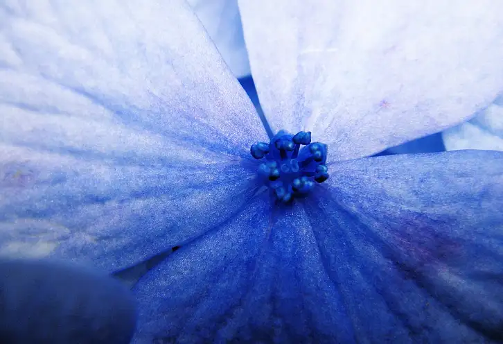 Jak zapakować flower box do wysyłki?