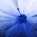 Jak zapakować flower box do wysyłki?