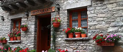 Jak zamocować doniczkę na parapecie? Porady