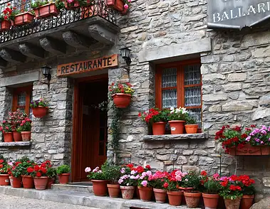 Jak zamocować doniczkę na parapecie? Porady