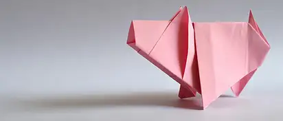 Jaki kwiat dla znaku zodiaku? Przewodnik