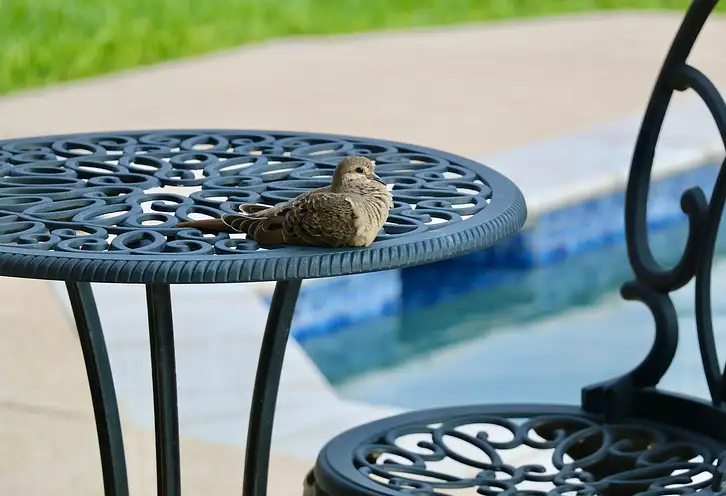 Meble na taras i ogród: kluczowe czynniki wyboru
