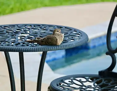 Meble na taras i ogród: kluczowe czynniki wyboru