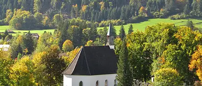 Jaki kolor wiązanki na cmentarz? Porady