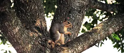 Ile lumenów potrzeba do oświetlenia podwórka?