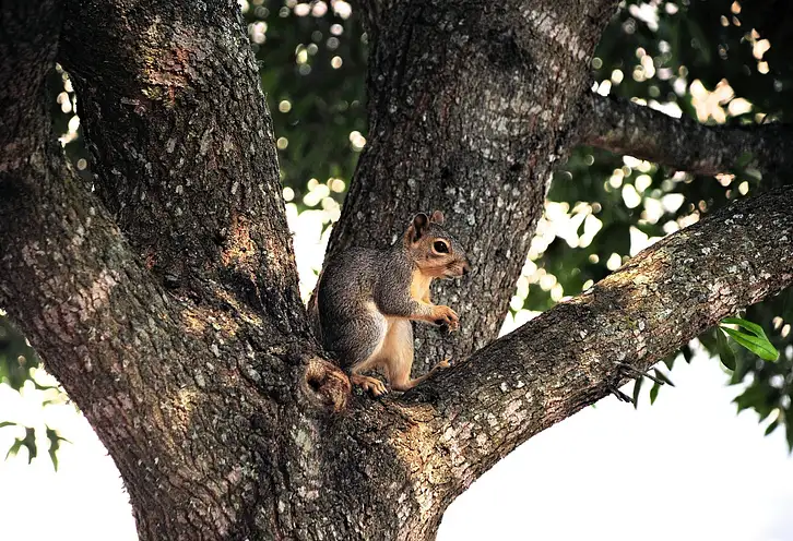 Ile lumenów potrzeba do oświetlenia podwórka?